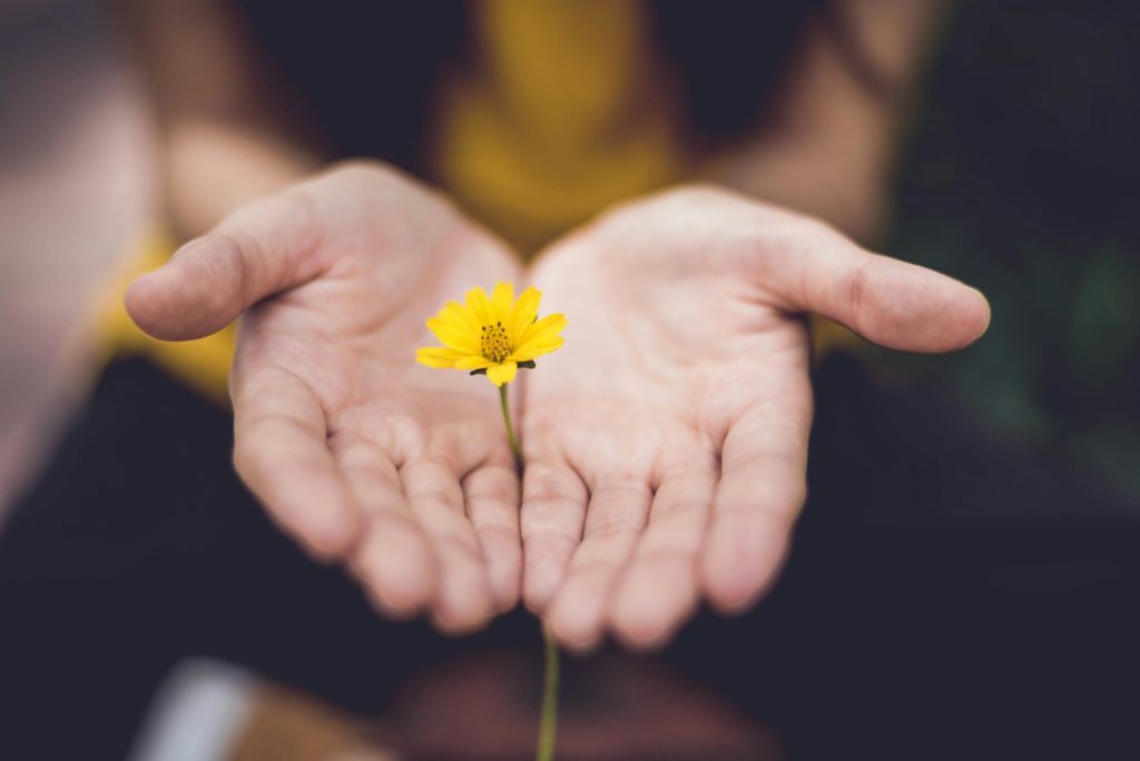 To hender som holder en gul blomst. 